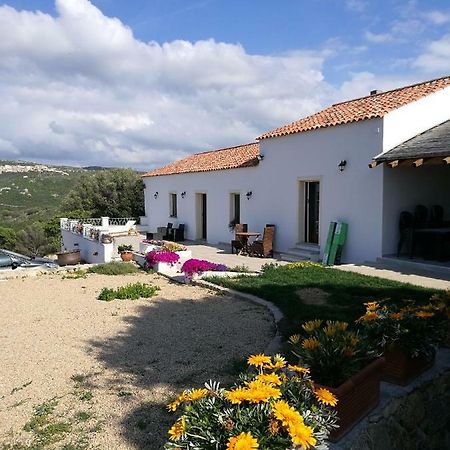 Appartamento L'Albero Magico Nella Campagna Gallurese Santa Teresa Gallura Extérieur photo